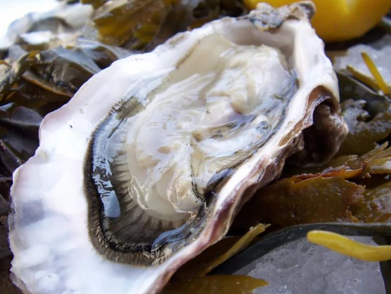 oyster-lemon - Fénykép 1